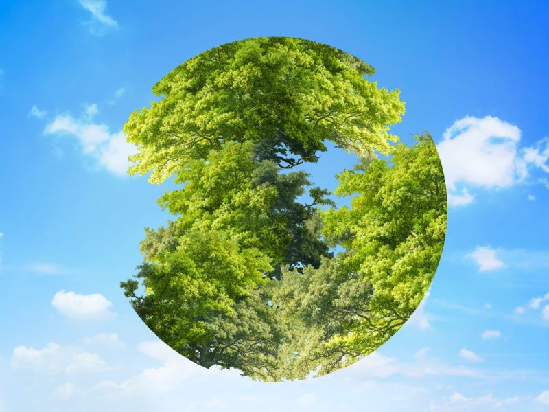 sostenibilità esg